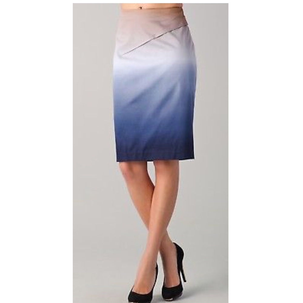 Rachel Roy Ombré skirt